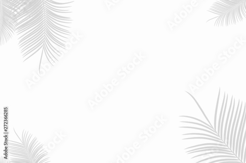 Palm leaf shadow on a white wall Background. Blank copy space add to text.