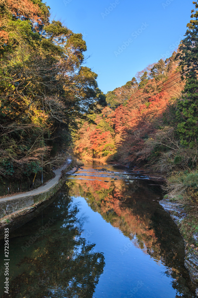秋の養老渓谷の共栄橋からみた中瀬遊歩道の風景