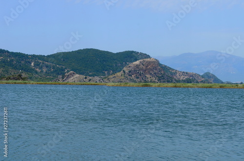 turtle island and green Dalyan river in Turkey