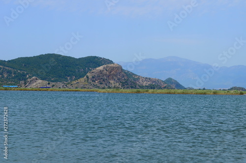 Wallpaper Mural turtle island and green Dalyan river in Turkey Torontodigital.ca