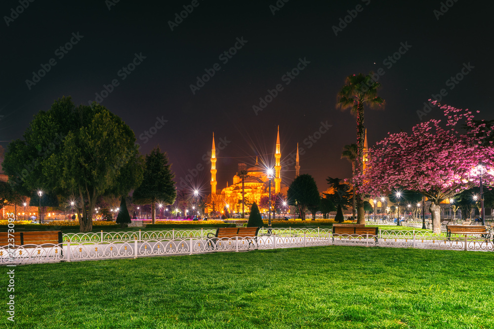 Sultanahmet, the Old City center of Istanbul at night, scenic cityscape, view of the park and Blue Mosque (Sultan Ahmet Camii), Fatih, Turkey. Outdoor travel background
