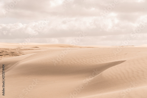 Fototapeta Details of a sand dune in beautiful light.