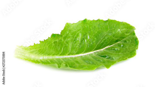 Fresh cos lettuce leaf isolated on white background