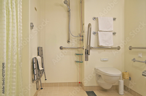 Wheelchair accessible bathroom with shower aboard luxury cruise ship