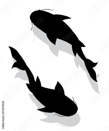 Fish silhouettes