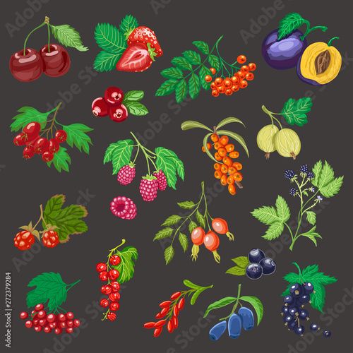 Big set of colored berries.