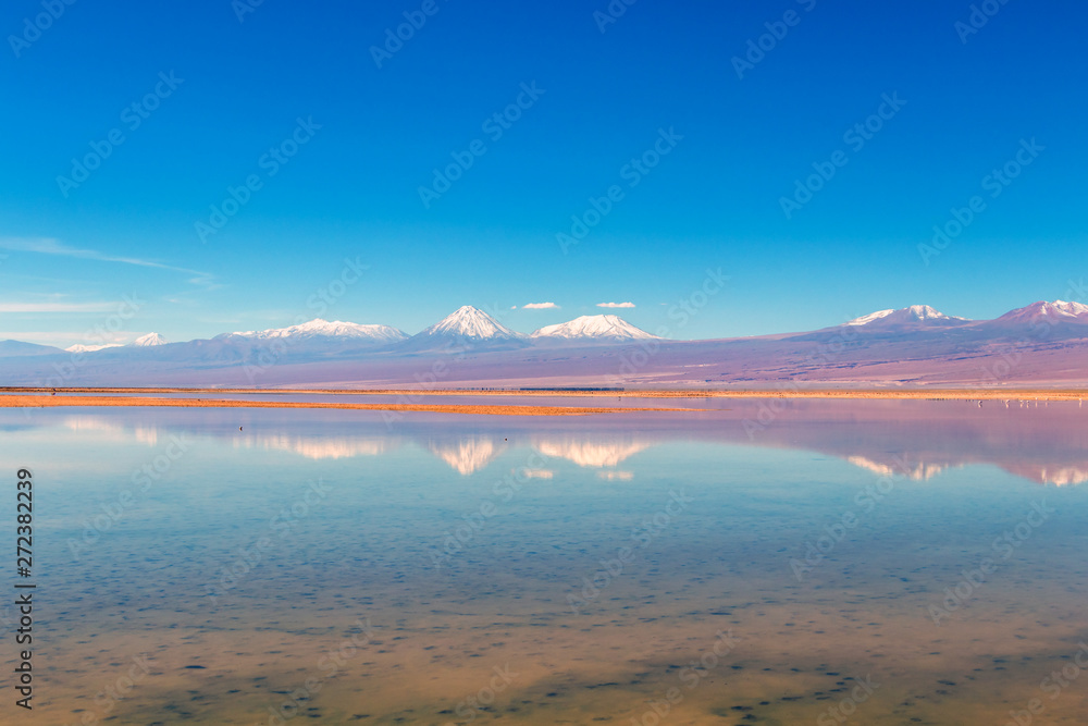 The Chaxa Lagoon : part of the Los Flamencos National Reserve, placed in the middle of the Salar de Atacama, Chile