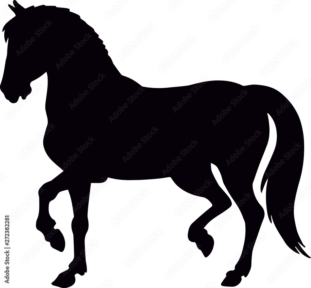 Obraz premium horse silhouette,on white background