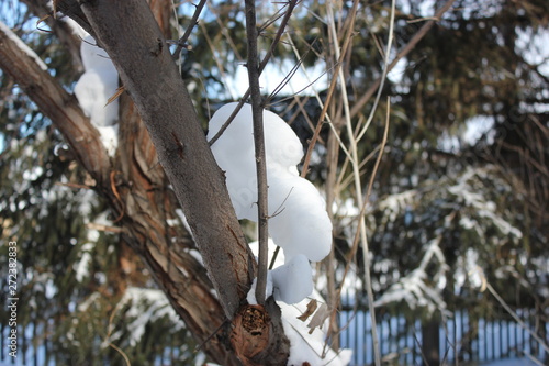 Pure snow on the tree trunk close-up