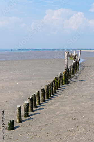 Old wooden posts sunken in the sand at low tide on West Wittering beach