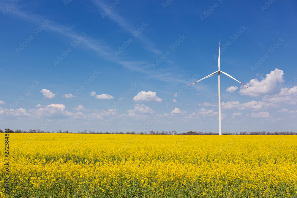 in the yellow canola field stands a white turbogenerator, against the sky with clouds, the concept in the yellow canola field stands a white turbogenerator, against the sky with clouds, the concept