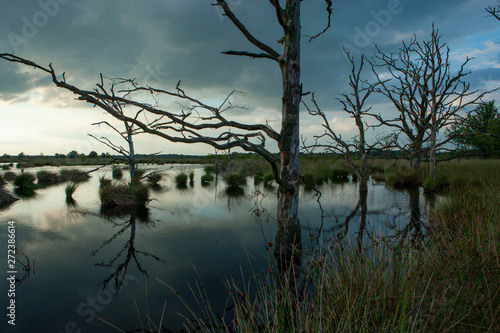 Sunset at National park Dwingelderveld drente Netherlands. Peatfields. Moor