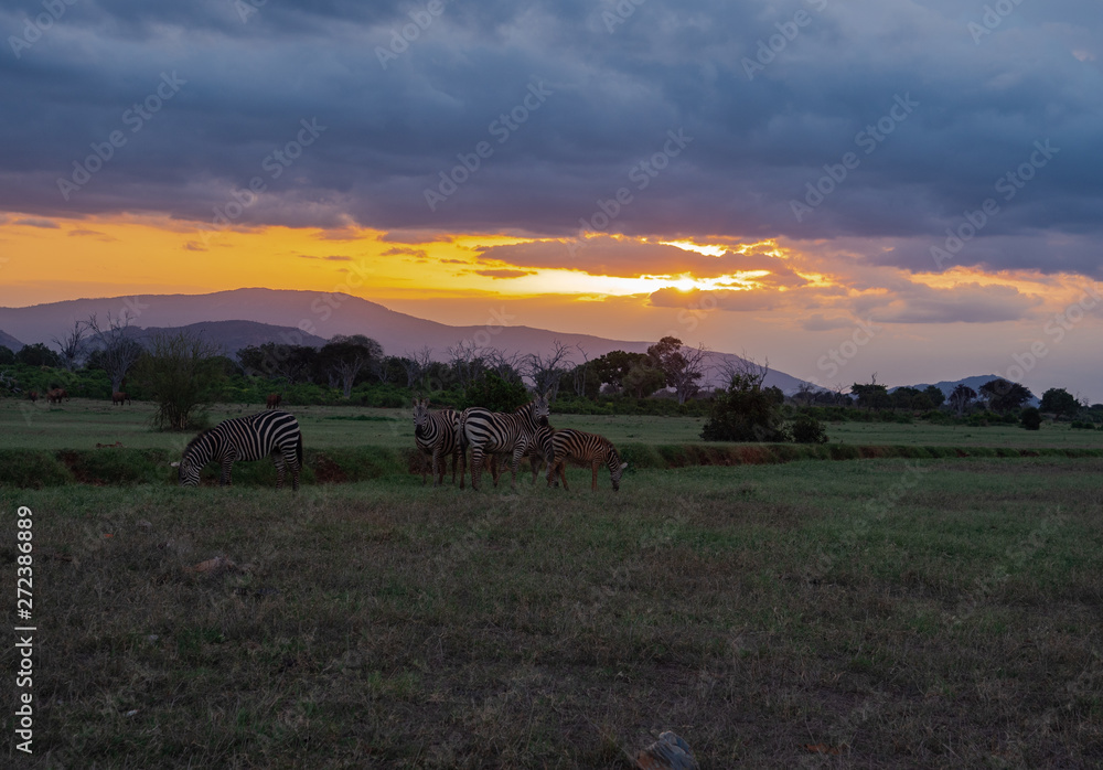 Landscape of Tsavo East National Park, Kenya