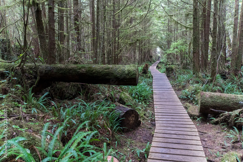 West Coast Trail (WCT)  Vancouver Island  photo