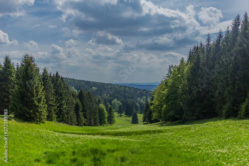 Frühlingshaftes Erwachen entlang des Rennsteiges im schönsten Sonnenschein photo