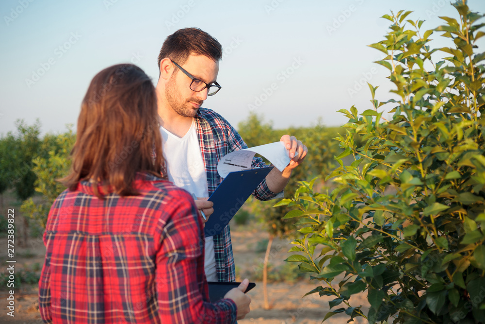 Serious young male and female agronomists or farmers working in a fruit orchard. Inspecting young trees, discussing and filling forms. Organic farming and healthy food production