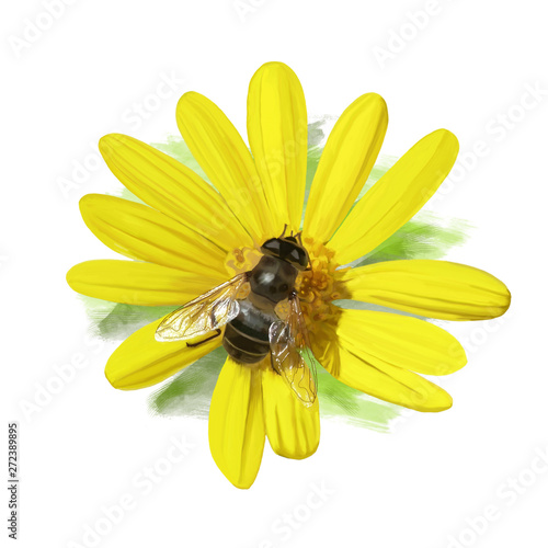 Dipinto di un' ape su un fiore.