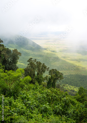 Tanzania, Arusha Region, Ngorongoro Conservation Area, the crater in the fog photo