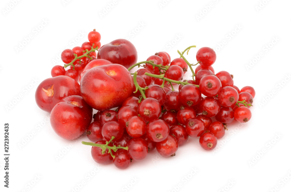cherries and red currants cherries and red currants