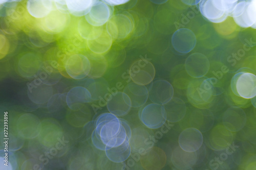 Natural green blurred background. Abstract background with bokeh defocused lights. Royalty high-quality free stock image of bokeh light from the sun through the leaves with copyspace for text design
