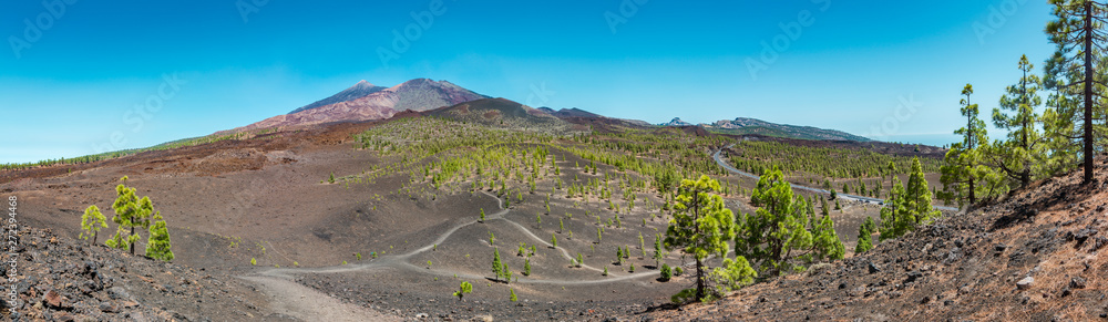 Pico del Teide - Spectacular volcano on Tenerife, with it's surroundings