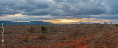 Panoramic of Tsavo East National Park, Kenya