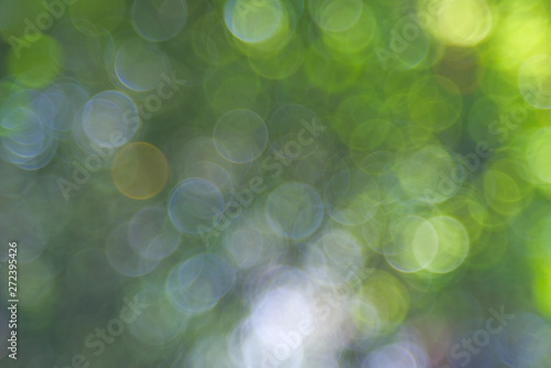 Defocused abstract nature background with green leaves and bokeh lights. Royalty high-quality free stock image of natural blurred bokeh background from leaf and tree