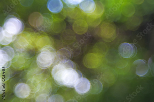 Natural green blurred background. Abstract background with bokeh defocused lights. Royalty high-quality free stock footage of bokeh light from the sun through the leaves with copyspace for text design