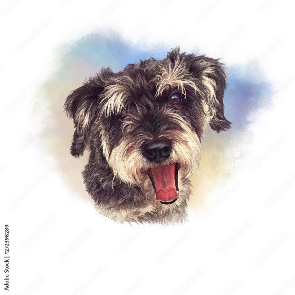 Realistic Portrait of a small domestic dog on watercolor background. Toy or Miniature Poodle, a lap dog. Cute puppy. Hand drawn pet illustration. Animal art collection. Good for T shirt, pillow