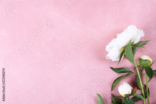 Beautiful pink peony flower blossoms closeup on vintage grunge concrete textured background. Happy International women's mother's valentine's first spring day. Copy space, close up, top view, backdrop