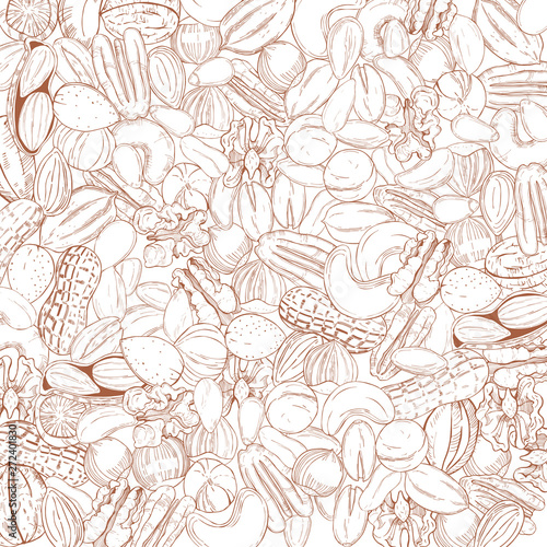Vector background with hand drawn nuts. Sketch  illustration.