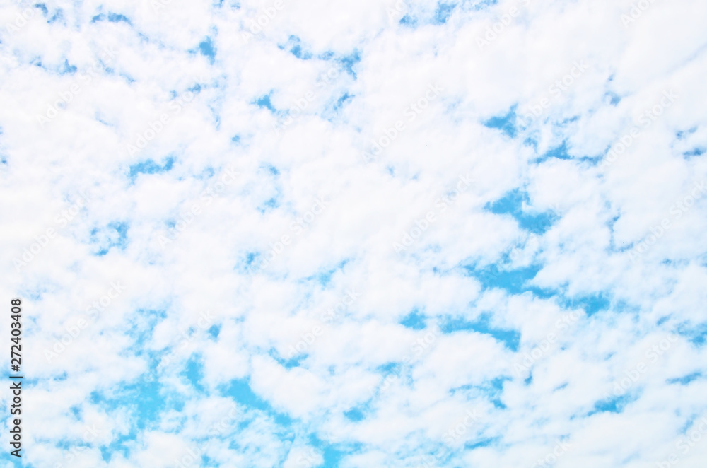 Fototapeta premium Abstract natural background of white small rounded fluffy clouds cover lot of blue sky in sunny day look like tie dye pattern silk ,has common name is mackerel sky (Cirrocumulus cloud ,altocumulus)
