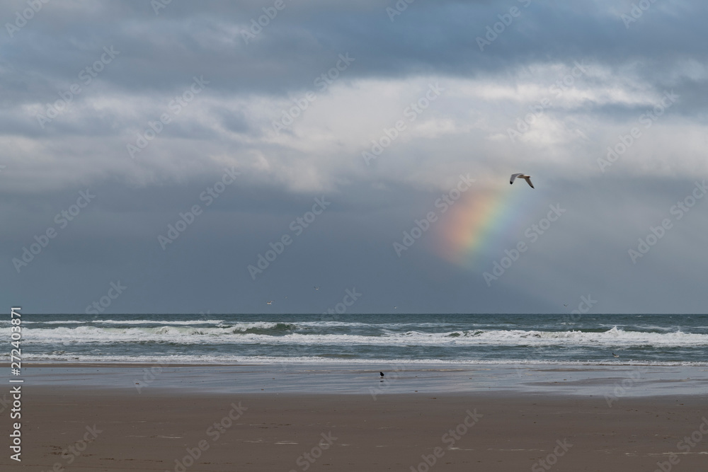 Seagulls at the beach with waves and rainbow