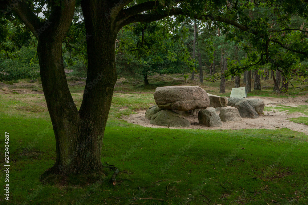 Dolmen. Heather and peatfileds drente Netherlands Dolmen. Heather and peatfileds drente Netherlands