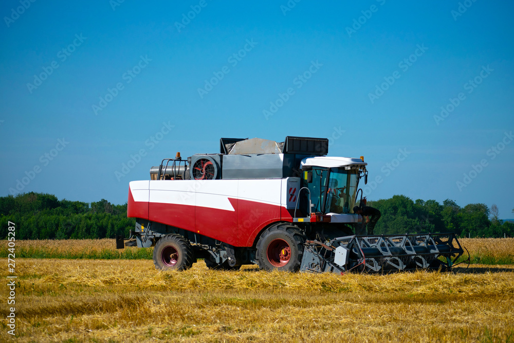 Fototapeta premium Combine harvester in the field of loading grain into agricultural land
