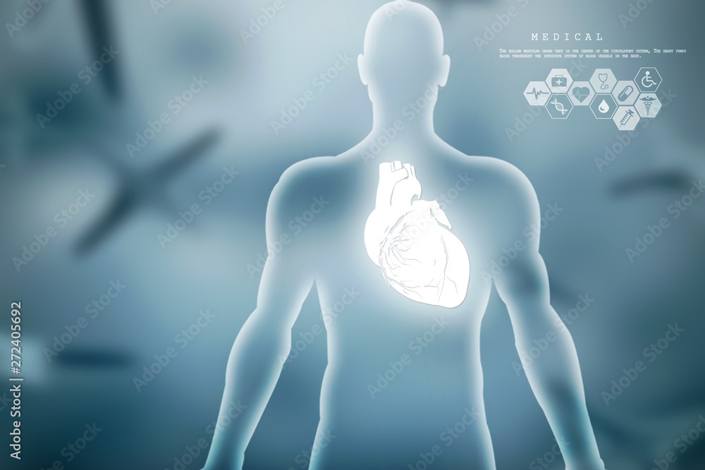 2d illustration Anatomy of Human Heart 2d illustration Anatomy of Human Heart