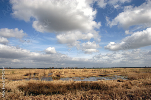 Weerribben Overijssel Ossenzijl Netherlands. Moor. Peatfields