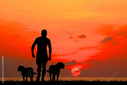 silhouette man and dog walk on the beach