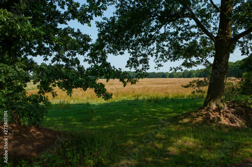 Countryroad near Rolde drente Netherlands