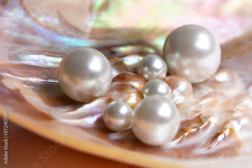 Naturalne perły wewnątrz muszli ostryg