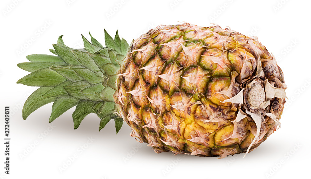 Pineapple fruit whole with green leaves Pineapple fruit whole with green leaves