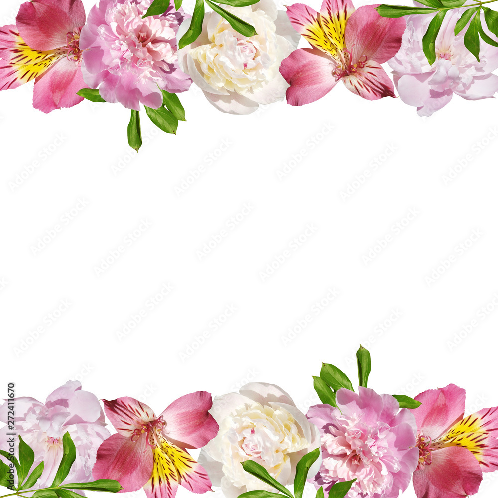Beautiful floral background of alstroemeria and peonies. Isolated