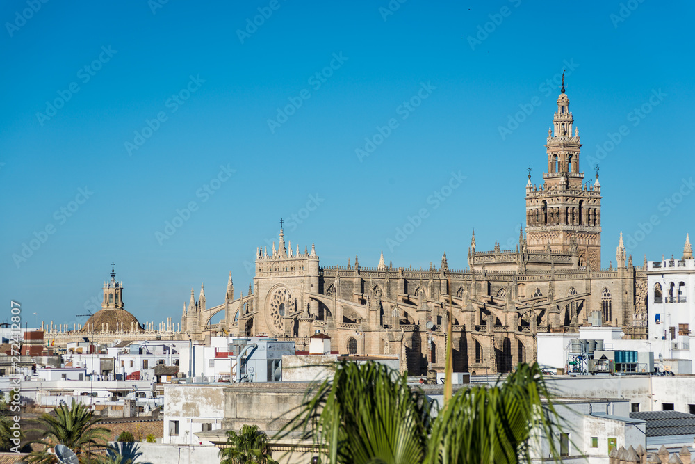 Fototapeta premium Giralda in the city of Seville in Andalusia, Spain.