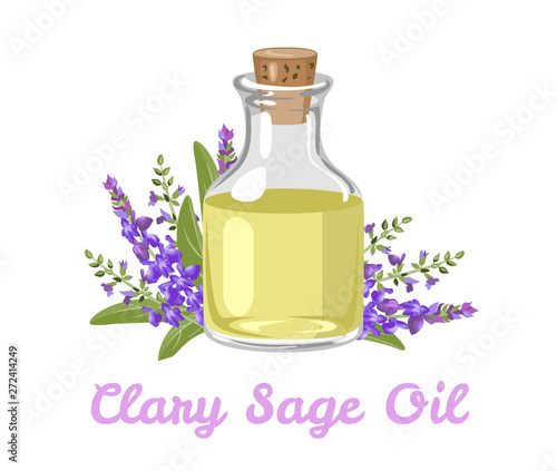 Clary Sage Essential Oil. Vector illustration of aromatic oil in a glass bottle and branches of a medicinal plant isolated on white background. Cartoon flat style.