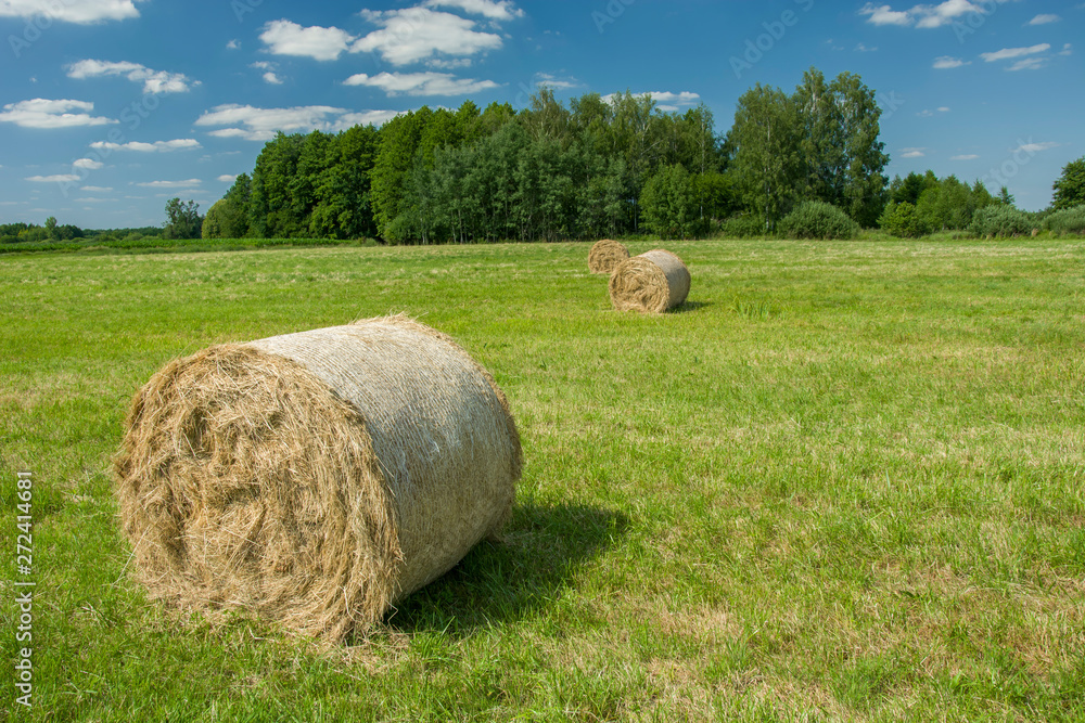 Hay bales on a green meadow, trees on the horizon and white clouds on a blue sky