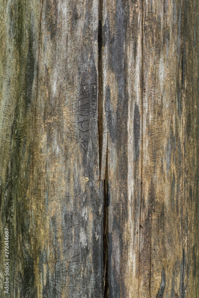 old wood texture background old wood texture background