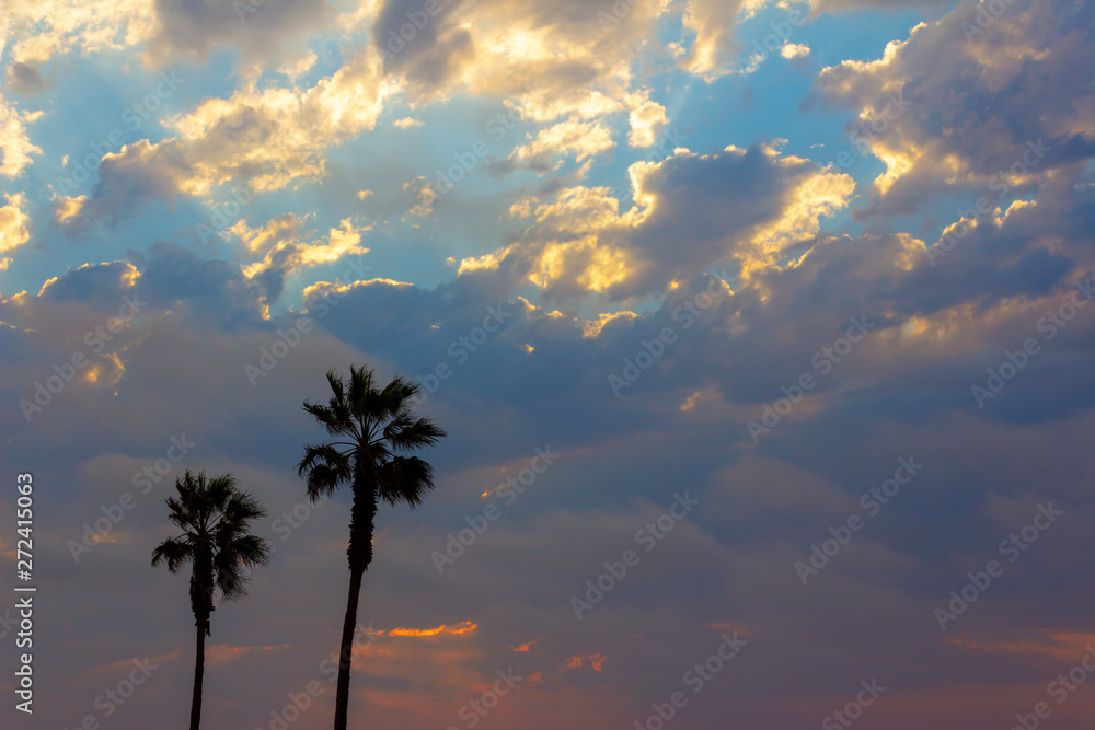 Two palm trees and colorful sky with dramatic sky
