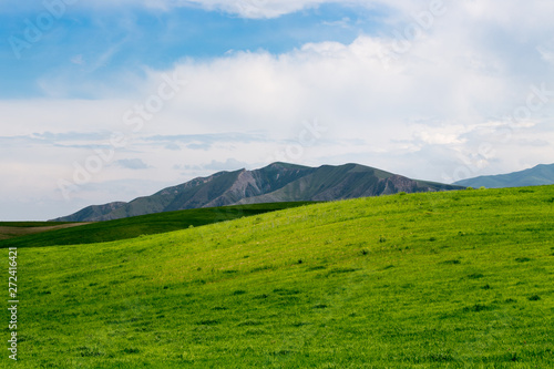 Beautiful spring and summer landscape. Lush green hills  high mountains. Bright green grass. Spring flowering grass. Summer natural background.