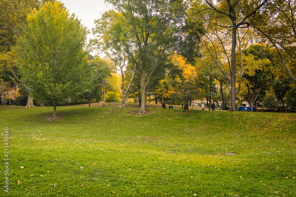 Green lawn in Central Park in fall season, New York Green lawn in Central Park in fall season, New York