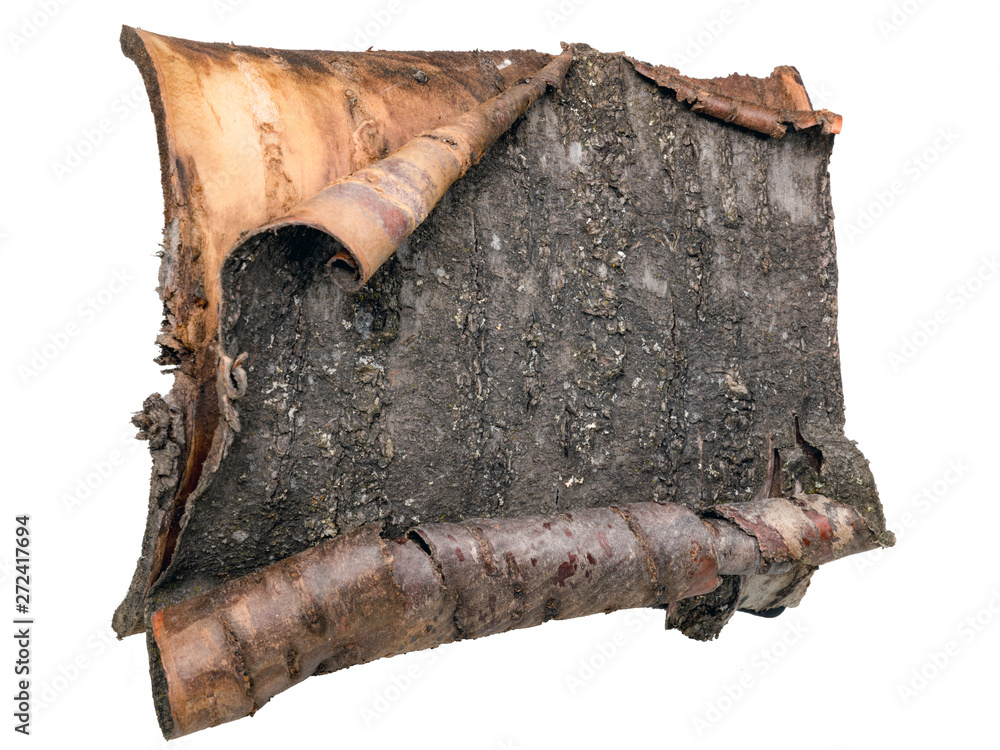 Dark tree bark curling up at the ends as a blackboard with copy space Dark tree bark curling up at the ends as a blackboard with copy space